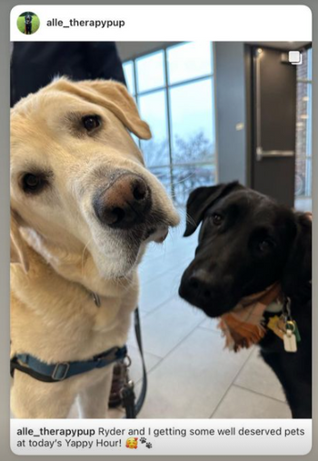 Screenshot of an Instagram post from alle_therapypup showsa blond dog and a black dog looking lovingly at the camera. Text beneath their photo says "Ryder and I getting some well deserved pets at today's Yappy Hour!" Smiley face emoji. Paw print emoji.
